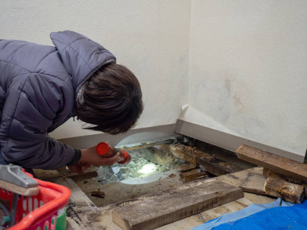 Best Environmental Consulting for Mold Prevention  in Abaster, AL