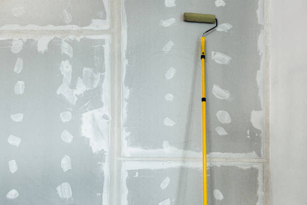 Reliable Alabaster, AL Mold Removal Solutions