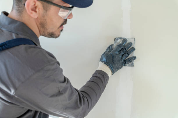 Best Mold Odor Removal Services  in Abaster, AL