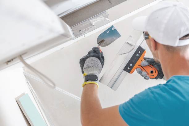 Best Forensic Mold Investigation  in Abaster, AL